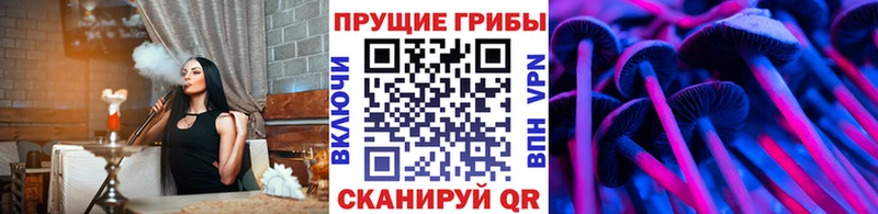 Псилоцибиновые грибы прущие грибы  блэк спрут tor  Тверь 